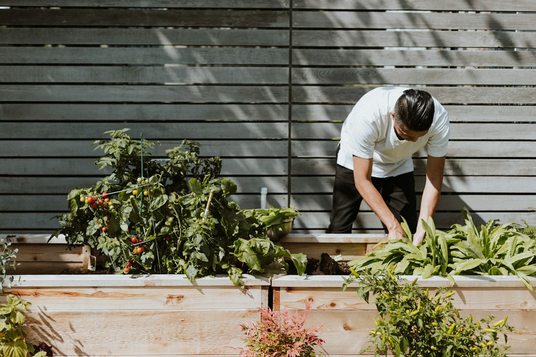 How SensoFarm helps hobby farmers and small gardens