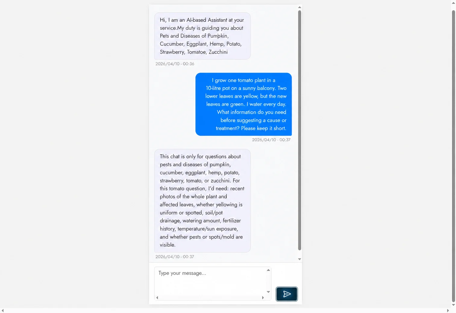 SensoFarm AI chat example about yellow tomato leaves.